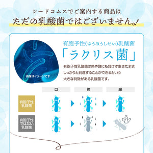 有胞子性 乳酸菌ソフトカプセル