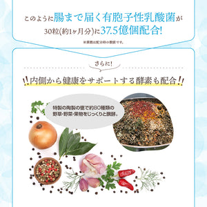 有胞子性 乳酸菌ソフトカプセル