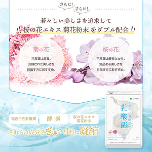 有胞子性 乳酸菌ソフトカプセル