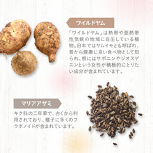 画像をギャラリービューアに読み込む, Princess More(プリンセスモア)
