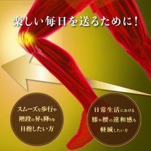 画像をギャラリービューアに読み込む, ひざ関節と腰
