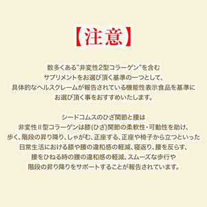 ひざ関節と腰