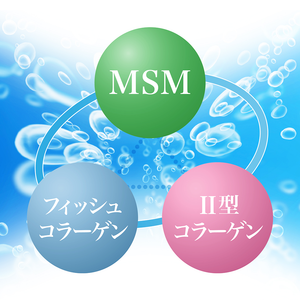 北海道産鮭由来プロテオグリカン＆コンドロイチン配合グルコサミン
