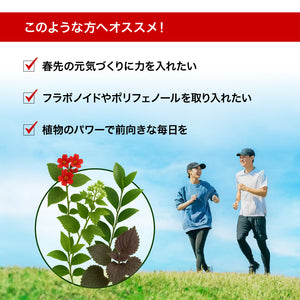 甜茶エキス 甘草&シソ葉＆緑茶配合