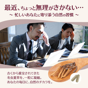 冬虫夏草 – シードコムス本店