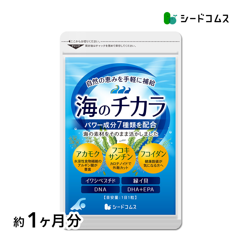 海のチカラ – シードコムス本店