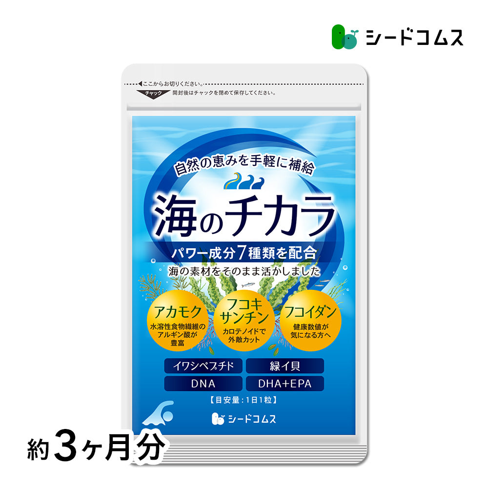 海のチカラ