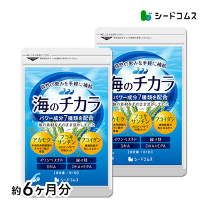 海のチカラ