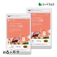画像をギャラリービューアに読み込む, ビタミンB群

