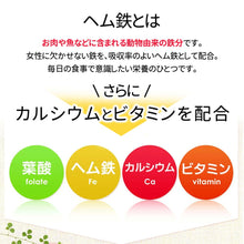 画像をギャラリービューアに読み込む, 葉酸＆ヘム鉄 カルシウムビタミン入り