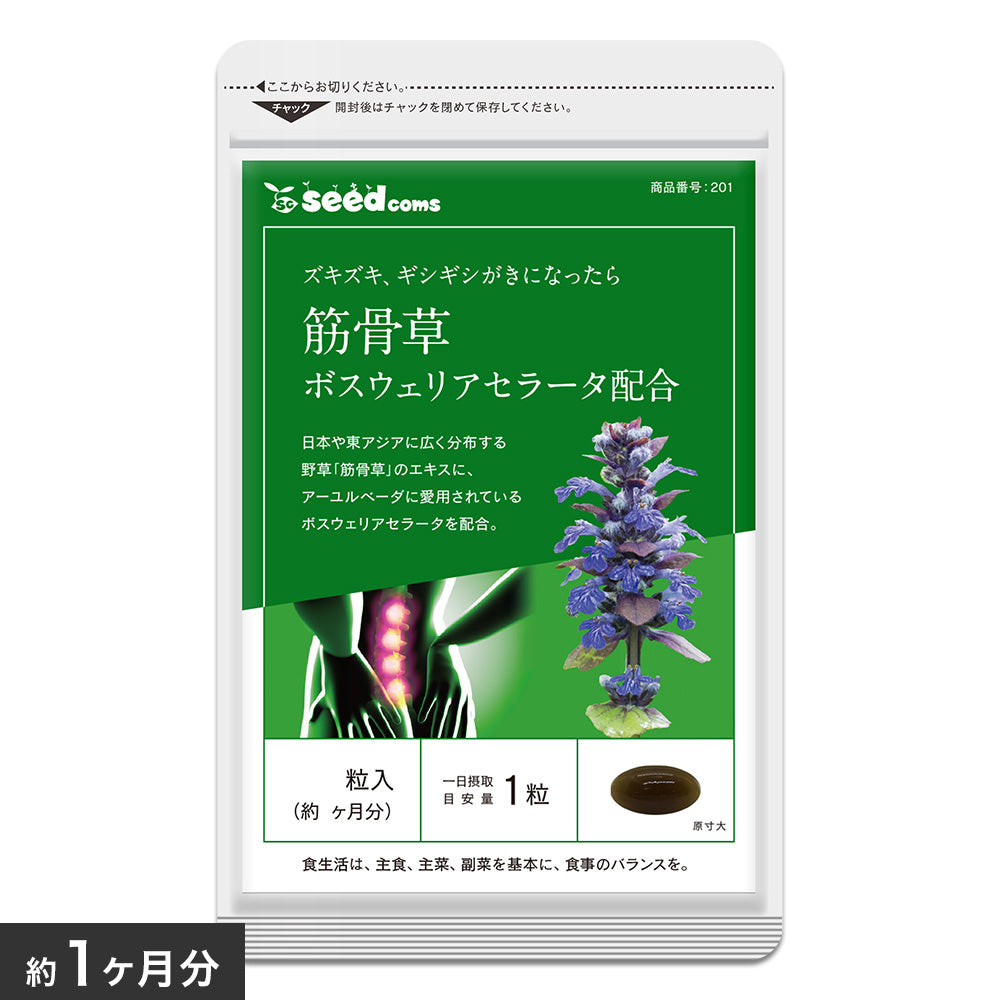 筋骨草+ボスウェリアセラータ